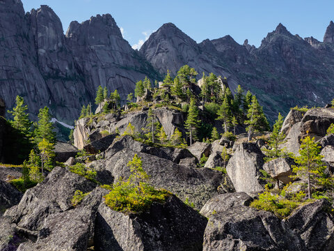 Huge granite boulders. Wild nature forest bright background.