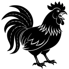 rooster isolated on white background