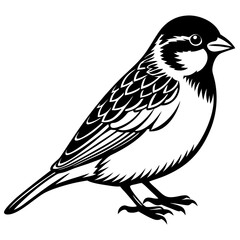 Fototapeta premium bird on a branch