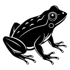frog on white