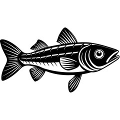 illustration of a fish