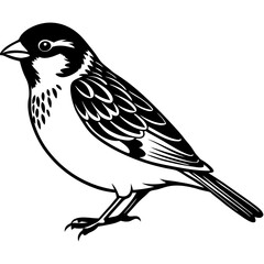 illustration of a bird