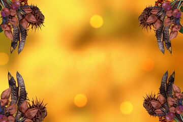 ...autumn, plants, colors, nature, background, patterns, pastels