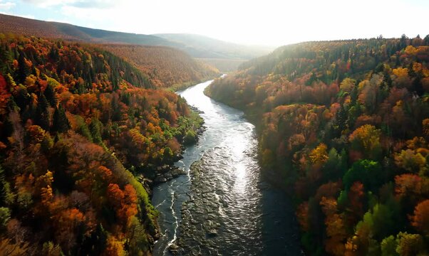 Aerial View of Snake River with Fall Foliage in Wyoming