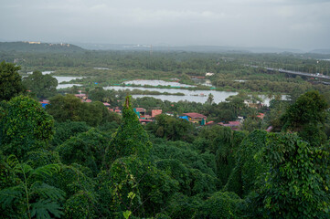 Monsoon view of Curca village, Goa, with vines and trees in the foreground. Houses, backwaters, hills, and palm trees create a serene landscape in the background.