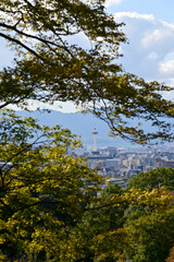 The view of Kyoto city skyline with blue sky and trees from kiyomizu-dera temple in Kyoto, Japan. Major tourist attraction in Kansai region in Japan. Travel concept. Japan cityscape.