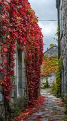 The red ivy on the stone wall is lush and vibrant, creating an eye-catching visual effect in autumn