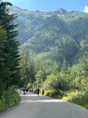 road to oko morskie © Edvardas