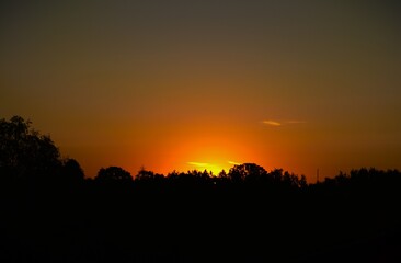 sunset in the forest