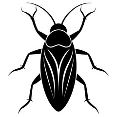 illustration of a beetle
