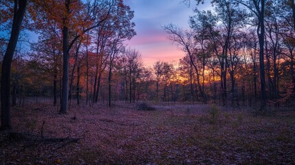 Obraz premium Twilight in an autumn forest with colorful leaves and dramatic skies at sunset
