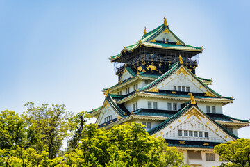 Fototapeta premium View with Osaka Castle, the most famous landmark and popular tourist attractions in Osaka, Japan.