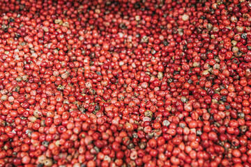 Fragrant colored bulk spices by weight. Loose red, yellow and green spices. Chopped aromatic herbs. Italian herbs. Turkish and Georgian spices. Thanksgiving day. The secret of tasty dishes.