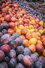 Plums, peaches, grapes on the supermarket counter. Healthy food. Grocery basket. Fruit salad. Assortment of products in a city store. Sweet food. Consumer choice. thanksgiving day Retail market.
