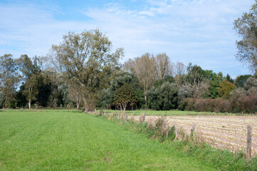 Green meadows and harvested wheat fields at the Flemish countryside in Erpe-Mere, East Flanders, Belgium