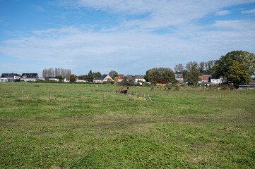 Green meadows and houses at the village of Mere in Erpe-Mere, Flanders, Belgium