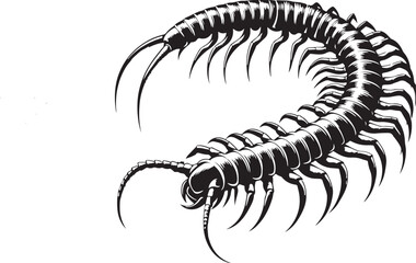 Centipede  vector silhouette