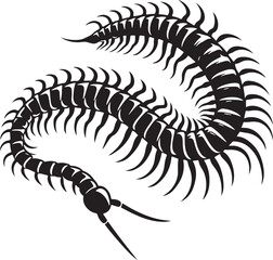 Centipede  vector silhouette