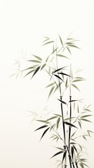 Obraz premium Bamboo backgrounds plant wall.