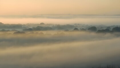 Soft Foggy Morning Background