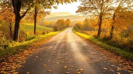 Naklejka premium peaceful countryside road lined with autumn leaves, the road leading toward distant hills