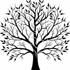 yellow-birch--tree-silhouette