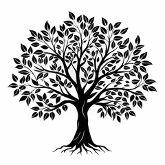 Obraz premium zelkova--tree-silhouette