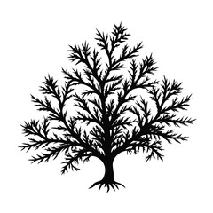 Obraz premium yew--tree-silhouette