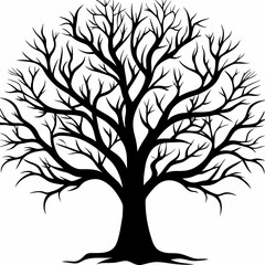 Obraz premium Mesquite-tree-silhouette