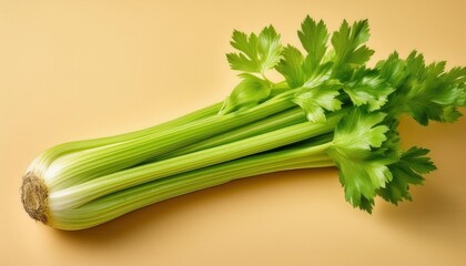 Fresh Crisp Celery Bunch. Perfect for Healthy Recipes, Juicing, Snacking, or Garnish in Food Photography and Advertisement Concepts