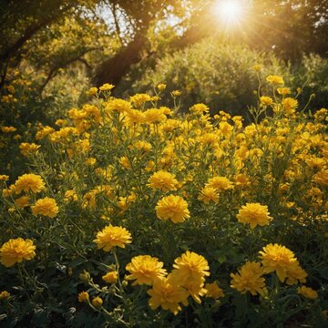"Create an image of a vibrant wall covered in bright yellow flowers. The flowers should be in full bloom, showcasing various shades of yellow, with lush green leaves interspersed among them. The compo