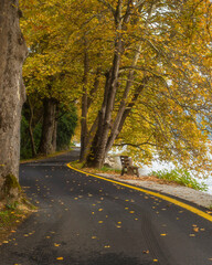 Obraz premium autumn in the park