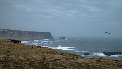 Dyrholaey - Reynisfjall