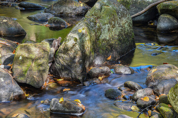 trap falls brook  cascading through  the  state forest,