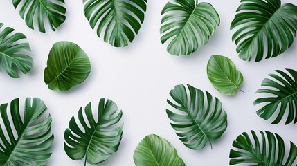 Fototapeta premium Top view of flat composition with tropical palm leaves.