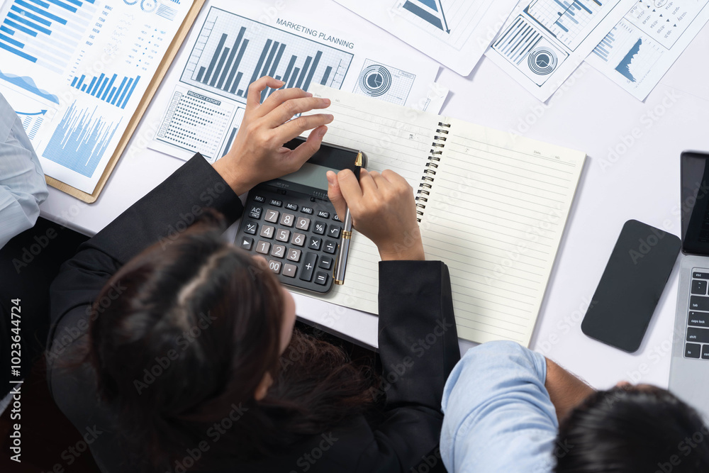 Aufkleber diverse corporate audit team or company bookkeeper and accountant consultant calculate account expen