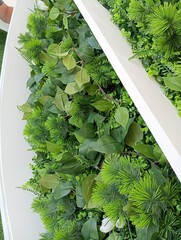 Landscape interior design. Panels of artificial plants in a round white frame