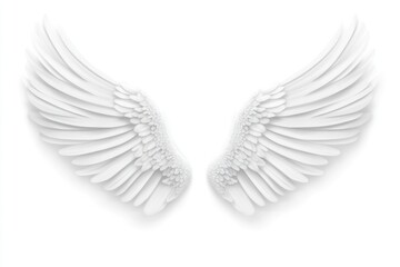 Obraz premium Elegant white angel wings design