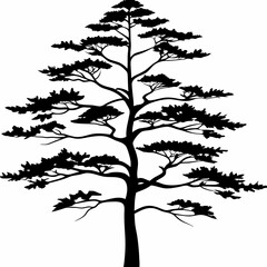 Anatolian-black-pine-tree-silhouette