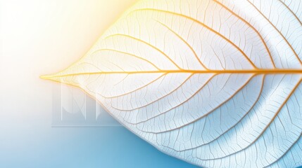 Translucent leaf with intricate veins glows in soft sunlight, AI