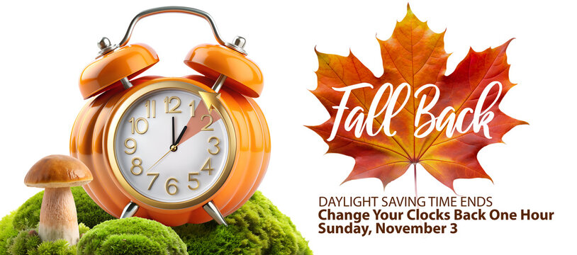 Daylight Saving Time Ends. Fall Back info banner with clock instruction to turning clock back one hour at November 3, 2024 with text reminder - Set Your Clocks Back One Hour.