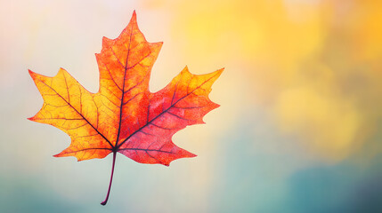 Fototapeta premium Elegant Autumn Card Featuring Colorful Maple Leaves and Open Space for Custom Text