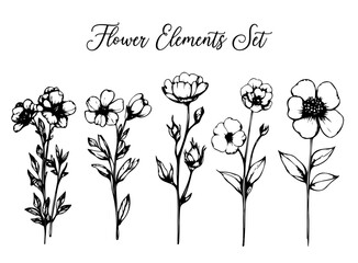 Fototapeta premium Blumen Set Flower Karte