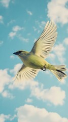 Obraz premium Green-backed Becard Bird Flying in Nature Under Blue Sky, Photo Realistic, Pattern Background, Wallpaper, Cover and Screen for Smartphone, PC, Laptop, 9:16 and 16:9 Format