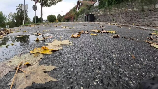 Herbst im Strassenverkehr