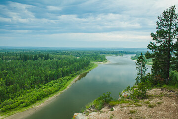 A lone bird perched on a bare tree branch overlooking a meandering river with sandbars and lush green surroundings