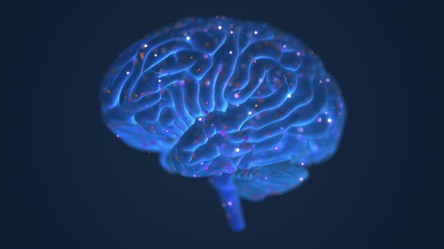 Brain Signals Facilitating Communication Between Neurons