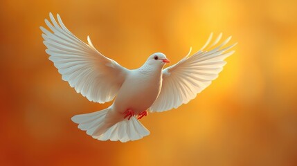 Peaceful celebration: a banner for World Peace Day, emphasizing unity, harmony, collective aspiration for global understanding, promoting a culture of peace and cooperation among nations.