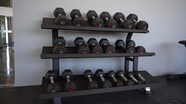 Estanter&iacute;a de mancuernas de un gimnasio 