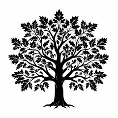 Fototapeta premium bur-oak-tree-silhouette